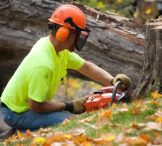 tree services Emmitsburg